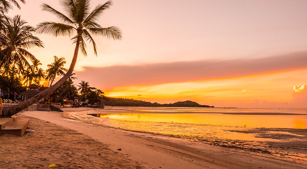 Beach Profile Studies
